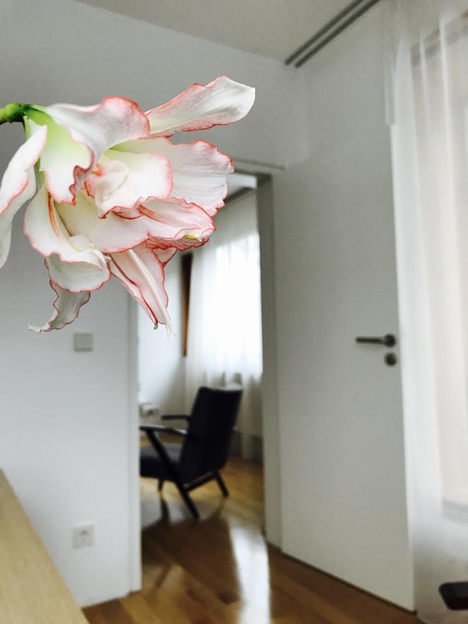 Design Apartment In Park Sofia Esterno foto